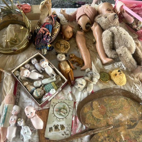 Meet your Posher, Adaline - Picture 3 of 5